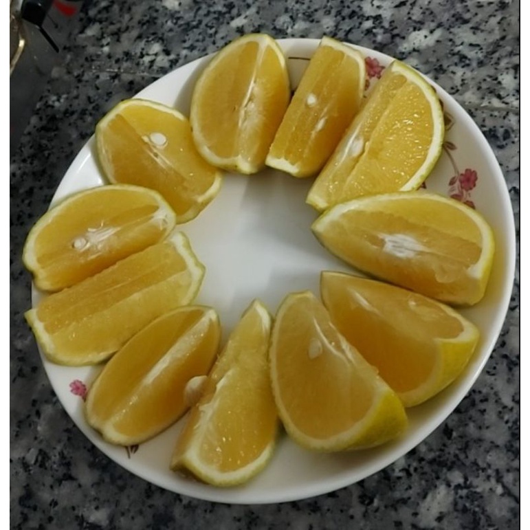 Cam xoàn nguyên trái vườn vĩnh long trồng bao ngon ngọt