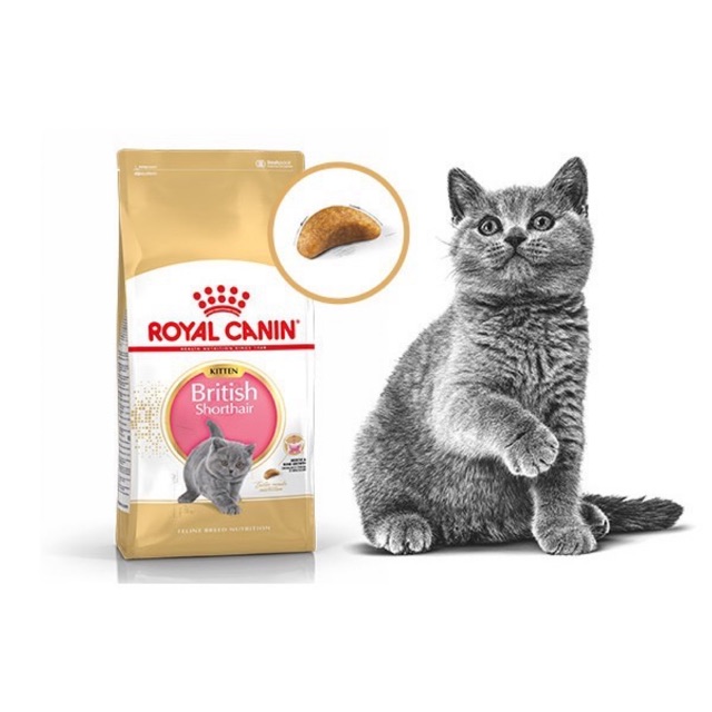 Thức ăn cho mèo Royal Canin British Shorthair Kitten. Dành cho mèo anh lông ngắn dưới 12 tháng tuổi