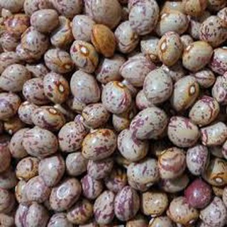 500g Đậu cúc hữu cơ