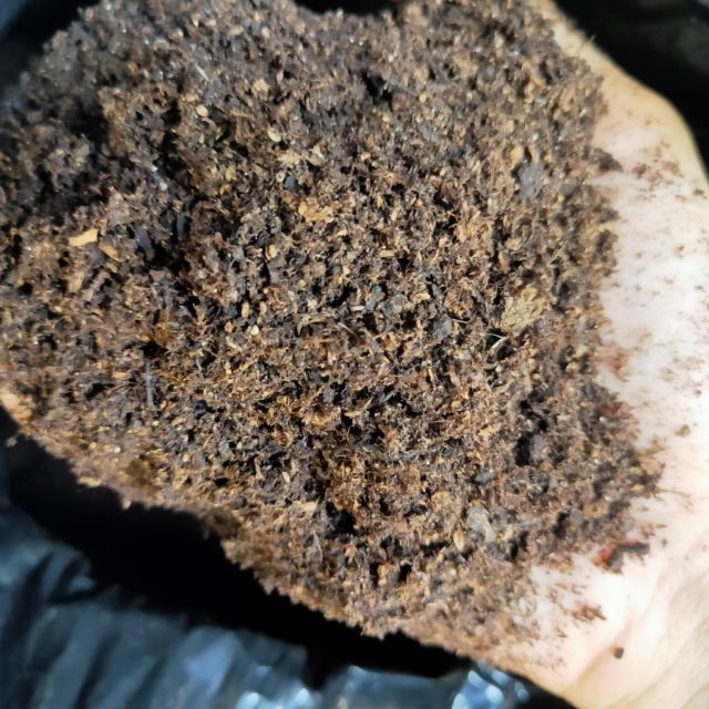 Peatmoss 500g