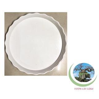 Đĩa lót chậu tròn khía phi 42cm - #062c#