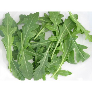 Hạt giống rau Cải Wild Rocket (Rau xà lách arugula) nhập Thái Lan nguyên gói