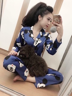 Set mickey