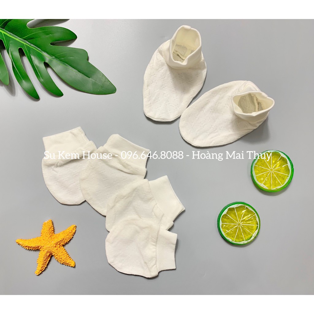 Set Bao tay, bao chân Lullaby