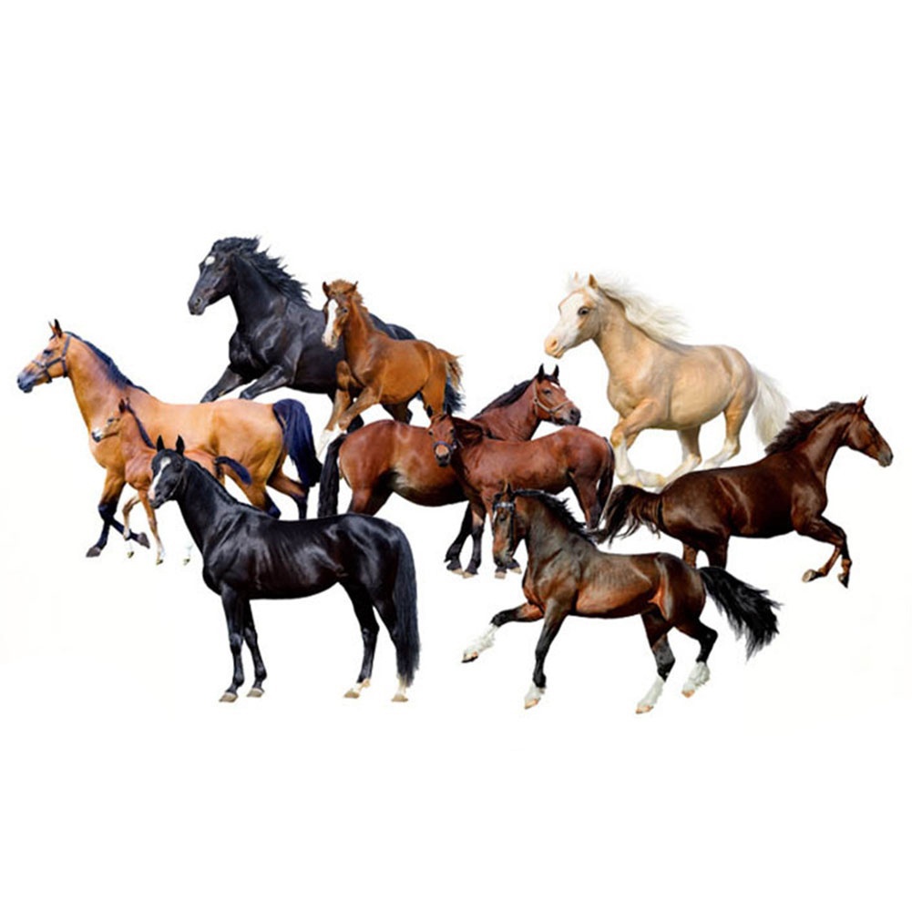 Decal dán tường Họa Tiết Cá Ngựa Độc Đáo Trang Trí Nội Thất