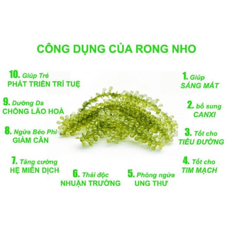 [ 2 Gói mè rang 15ml ] + Rong nho tách nước NFood Hộp 240gram/12 gói