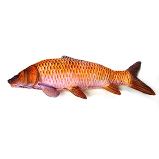 Gấu bông gối ôm cá chép 3d cao cấp