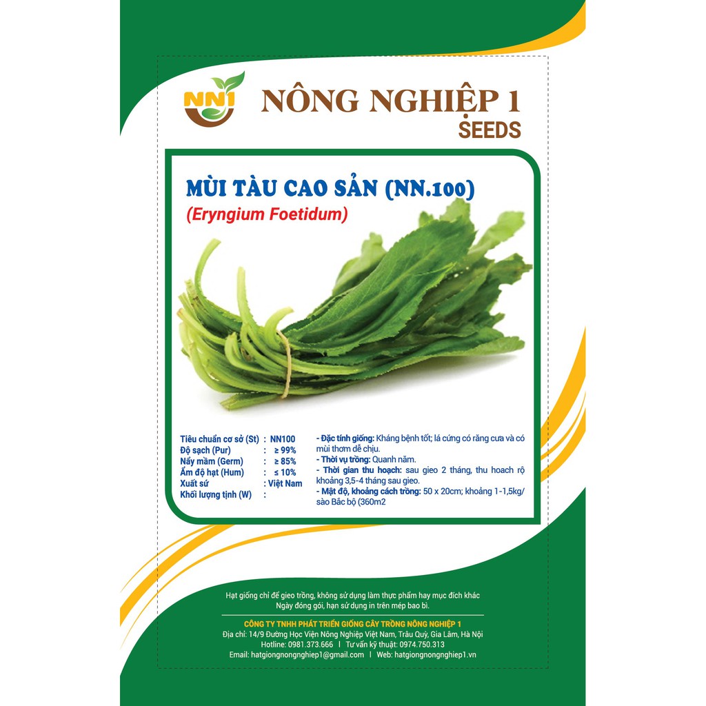 Hạt giống mùi tàu cao sản