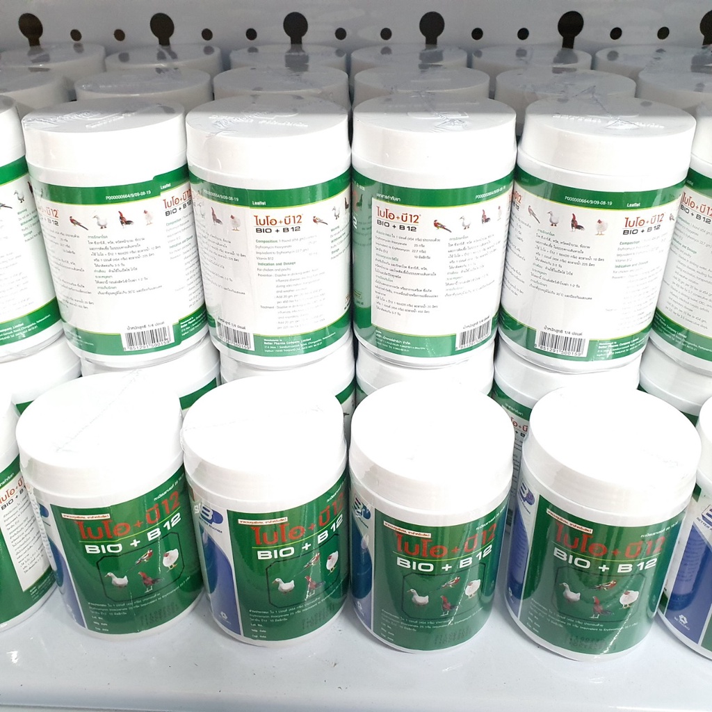 Bio+B12 Thái Lan-Úm Gà Con
