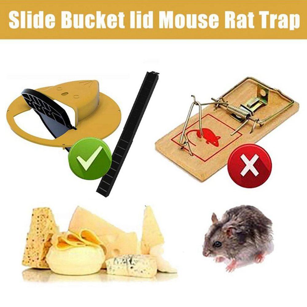 Bẫy Bắt Chuột Thông Minh Có Thể Tái Sử Dụng