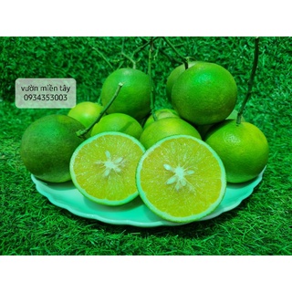 Cam xoàn miền tây