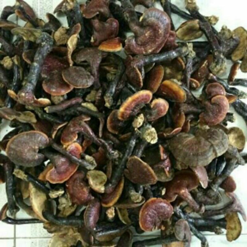 Sỉ lẻ nấm lim xanh 500g - 1kg