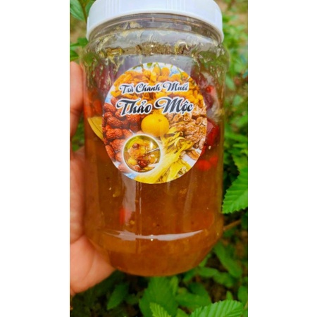 Trà Chanh Muối Thảo Mộc