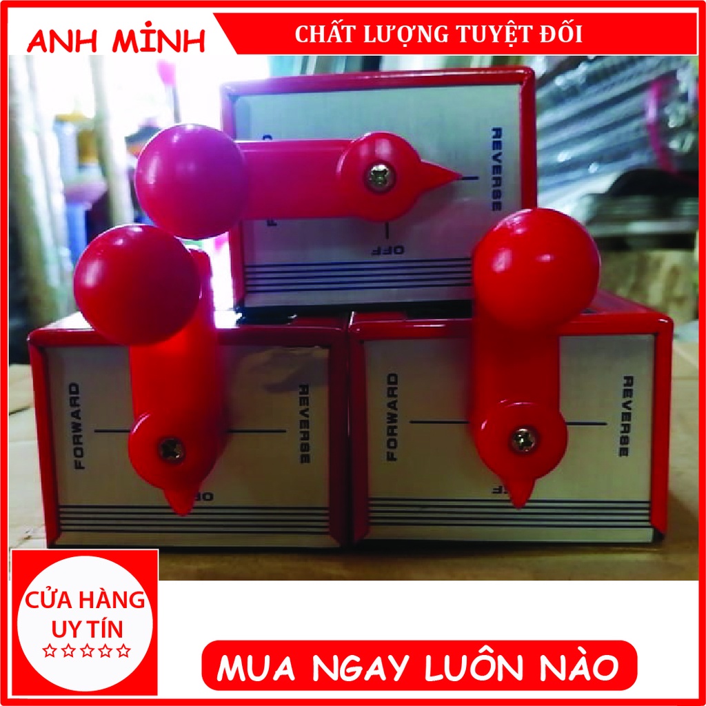 CÔNG TẮC 2 CHIỀU MÁY XAY THỊT CÔNG NGHIỆP ĐÀI LOAN AST