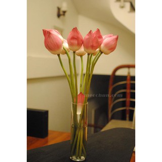BÌNH THỦY TINH CẮM HOA TRONG SUỐT ĐƯỜNG KÍNH 10CM CAO 15-20-25-30-35-40CM