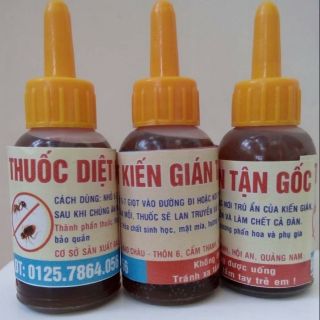 THUỐC DIỆT KIẾN GIÁN TẬN GỐC