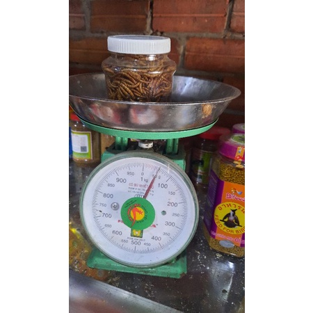 sâu sữa sấy khô ( sâu trung). 50gram