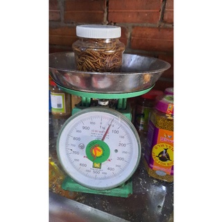 Sâu sữa sấy khô . 50gram