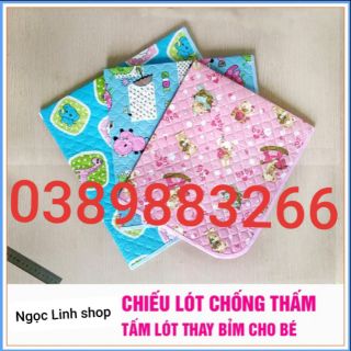 Chiếu nhựa chống thấm cỡ to- kèm video ảnh thật