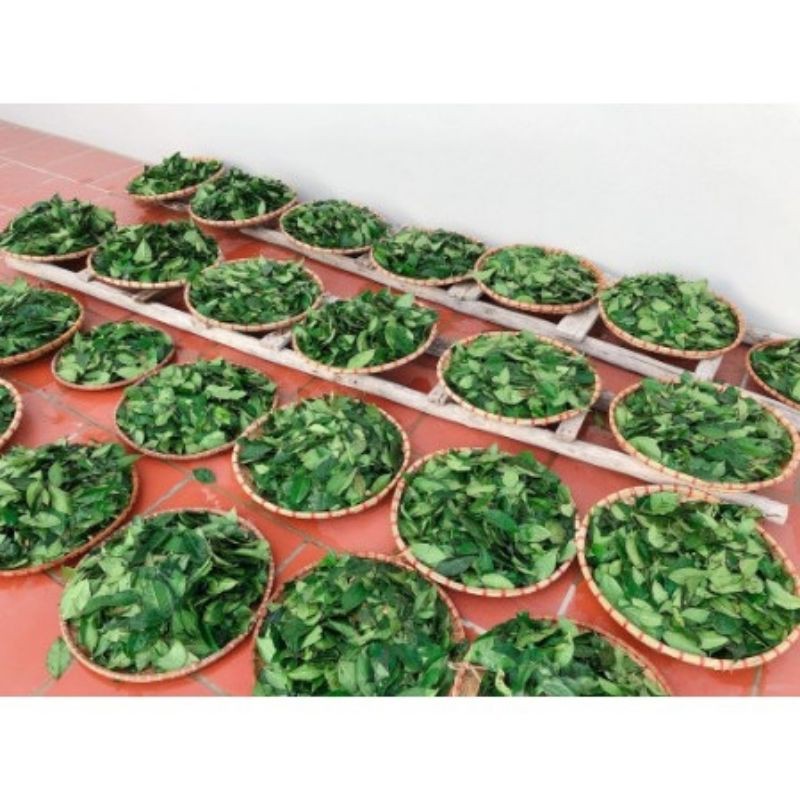 Bột trà xanh