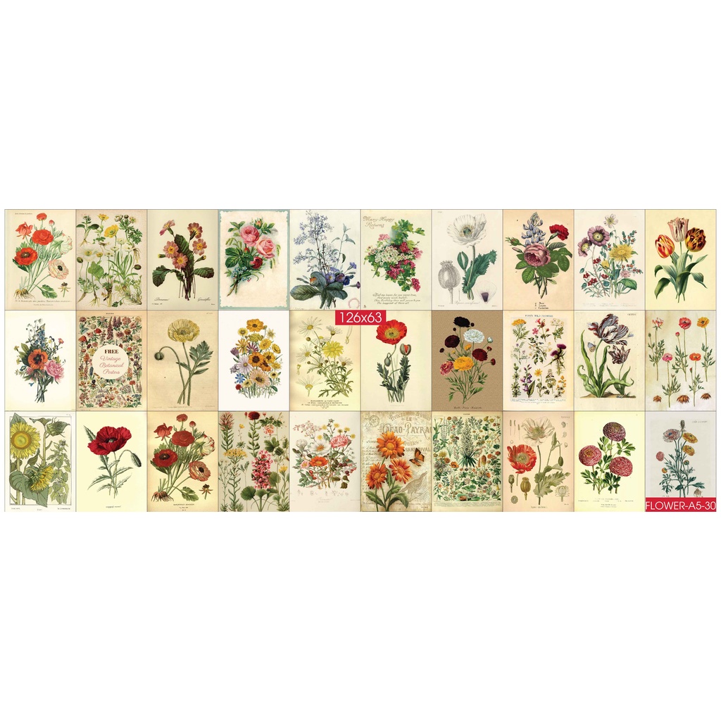 Combo Set 30 tờ Decal dán tường chủ đề Flower Rose A3,A4,A5