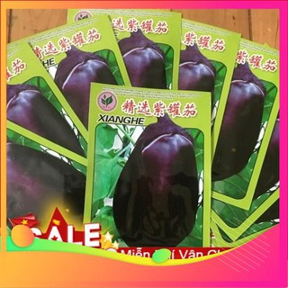 Hạt Giống Cà Tím Đài Loan -30 Hạt VIETGAR