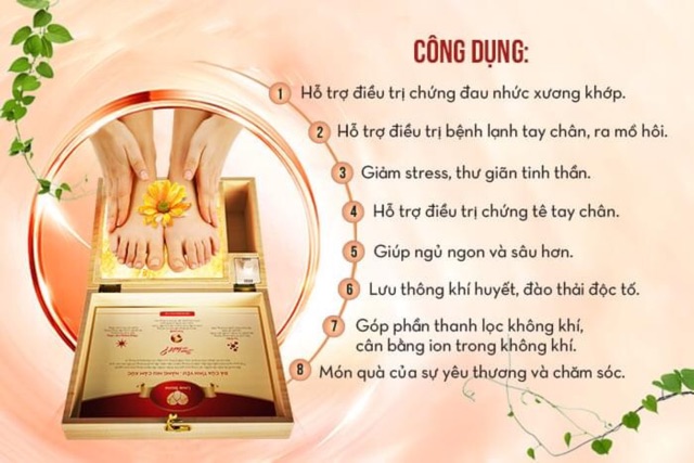 Hộp Massa chân đá muối Himalaya loại 2 viên tốt nhất thị trường