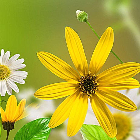 MET YOU STORE, Cửa hàng trực tuyến | BigBuy360 - bigbuy360.vn