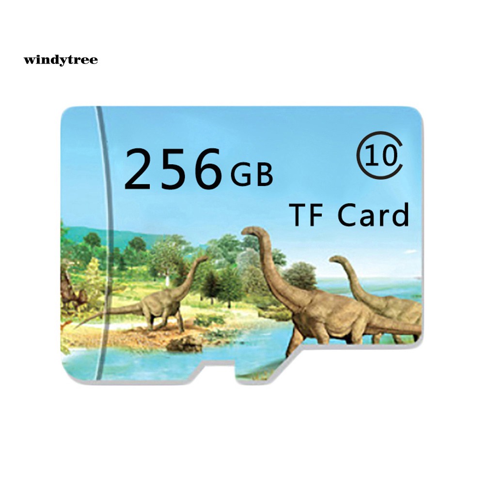 【WDTE】Dinosaur 128/256/512GB Micro SD TF Flash Memory Card File Storage for Camera MP4