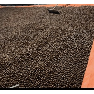 Hạt Macca Rang Nứt Vỏ Bà Tư Bình Phước(500g)