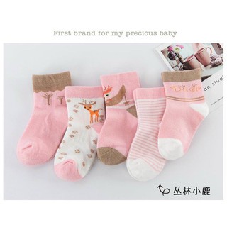 sét 5 tất cổ cao dày ấm mã 02