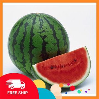 Gói 20 hạt giống dưa hấu ruột đỏ LUCKYVN