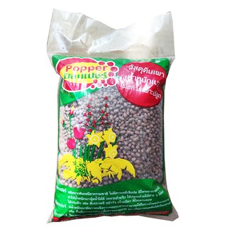 Đất Sét Nung Popper Trồng Sen Đá Bonsai Hàng Thailand - DINH DƯỠNG TỰ NHIÊN Shop