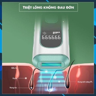 Máy Triệt Lông Cầm Tay  Cao Cấp