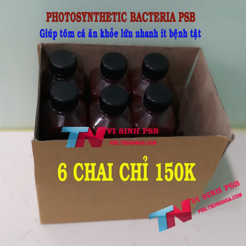 COMBO mua 5 chai tặng kèm 1 chai Vi sinh PSB - Vi khuẩn quang hợp chai 350ml