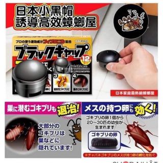 Sỉ rẻ THUỐC DIỆT GIÁN NHẬT BẢN