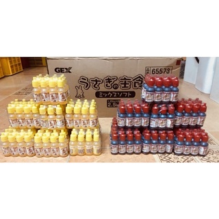 Vitamin,tiêu chảy cho Hamster