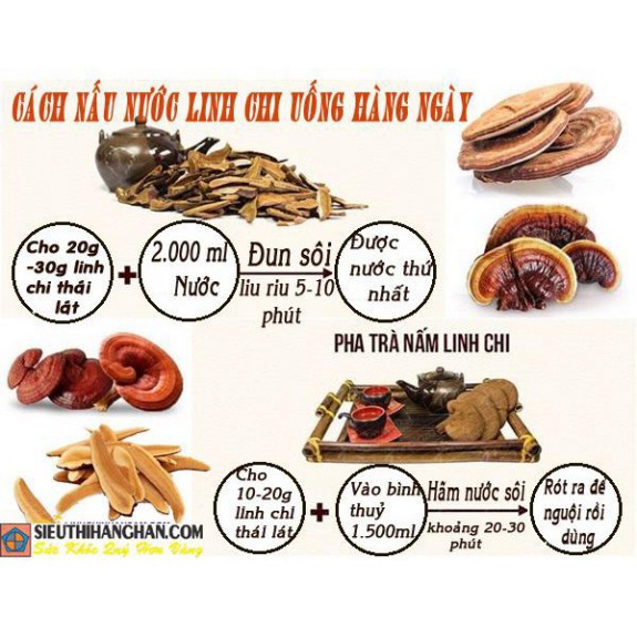 Nấm Linh Chi Túi Đỏ Hàn Quốc, Túi 1kg