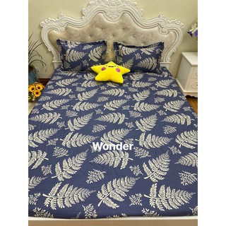 Sét ga gối cotton 100% Hàn Quốc