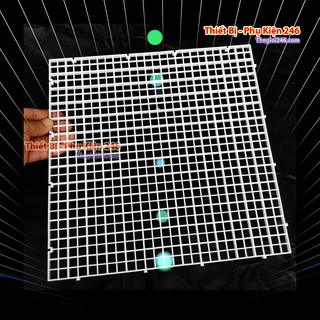 [chỉ còn màu trắng] Vách ngăn hồ cá Plastic size 30×30 kiểu Nhật