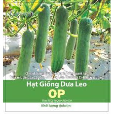 Hạt giống Hạt Giống Dưa Leo OP Dễ Trồng, Năng Suất Cao gói 5gr