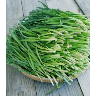 Hạt Giống rau ăn Lá Hẹ Ta { 2gram/gói }