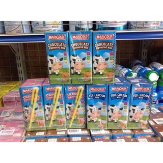 Sữa tươi Marigold 200 ml