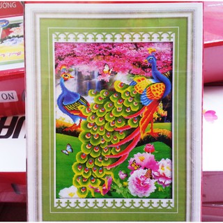 Tranh đính đá đôi công df2176
