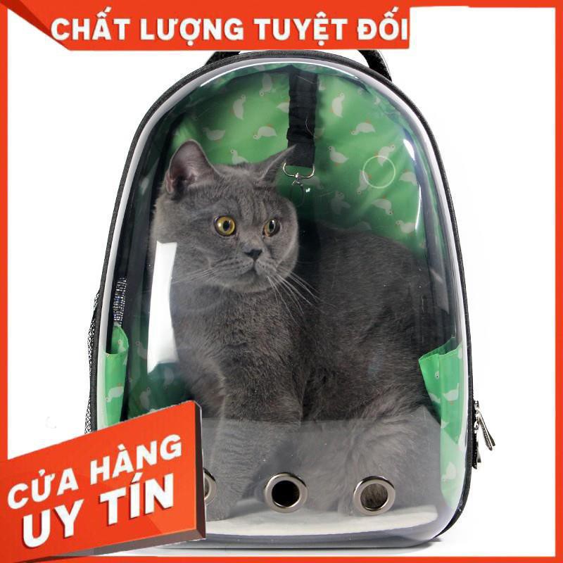 Balo trong suốt cho mèo