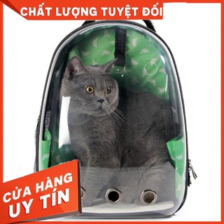 Balo trong suốt cho mèo