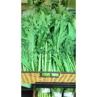 Hạt giống rau cải mèo (cải lá xẻ) 20gr