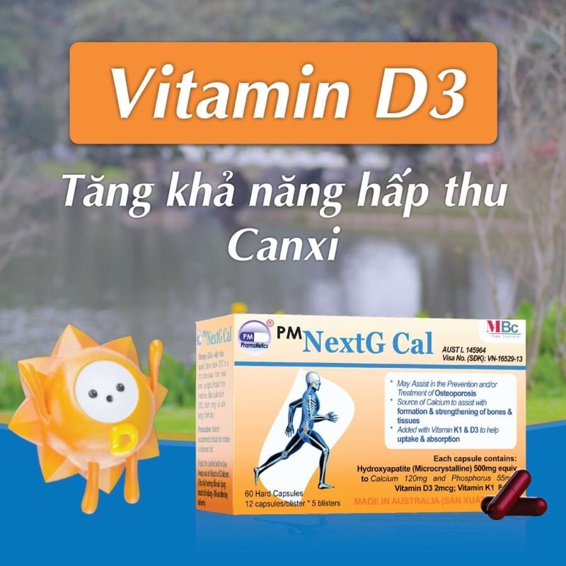 NEXTG CAL HỘP 60V