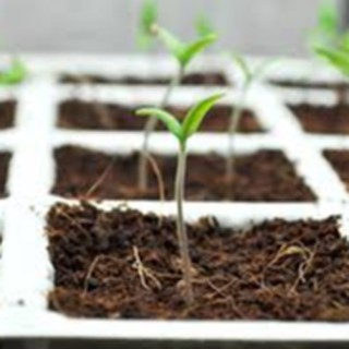 20L ĐẤT HỮU CƠ TRỒNG RAU. HOA KIỂNG
