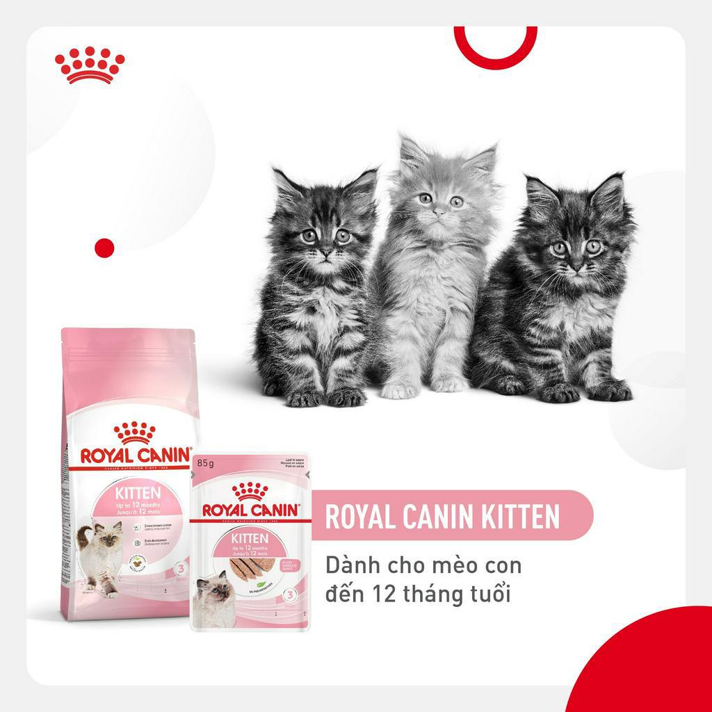 thức ăn mèo mother và baby cat 400gr và 2kg ( mèo mẹ và mèo con dưới 4 tháng tuổi) hiệu Royal Canin